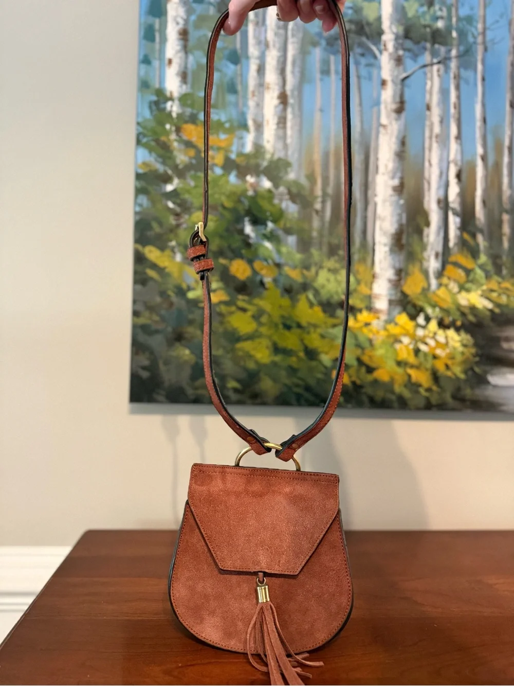 Street Level Brown Suede Crossbody Bag Tassel, Fringe, Saddle, Boho ✨Adjustable✨ - Picture 2 of 8